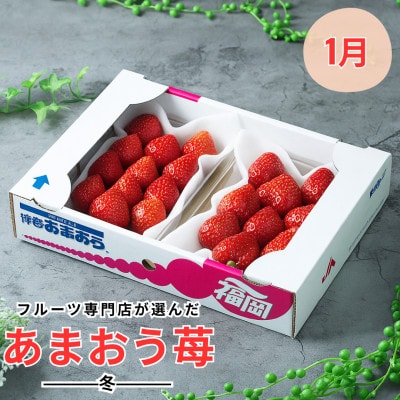 【発送月固定定期便】旬の福岡フルーツ　あまおう・とよみつひめ・早味みかん・秋王・甘うぃ(宇美)全5回