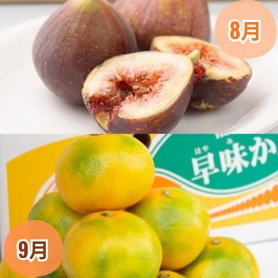 【発送月固定定期便】旬の福岡フルーツ　あまおう・とよみつひめ・早味みかん・秋王・甘うぃ(宇美)全5回