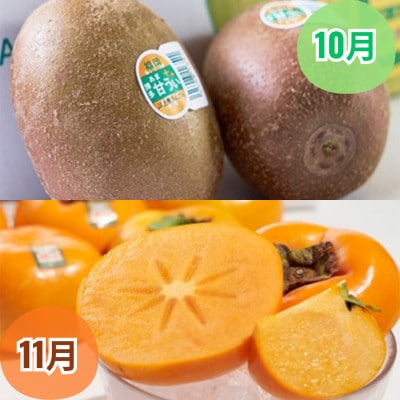 【発送月固定定期便】旬の福岡フルーツ　あまおう・とよみつひめ・早味みかん・秋王・甘うぃ(宇美)全5回
