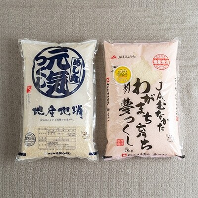 【宇美】定期便 果物屋さんが選んだ米食べ比べ「夢つくし&元気つくし」各5kg全6回