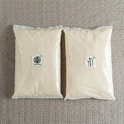 【宇美】定期便 果物屋さんが選んだ米食べ比べ「夢つくし&元気つくし」各2.5kg全6回