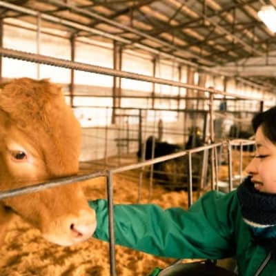 福岡県産 黒毛和牛 博多和牛 モモステーキ600g