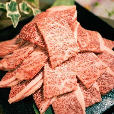 福岡県産 黒毛和牛 博多和牛 焼肉用切り落とし 500g