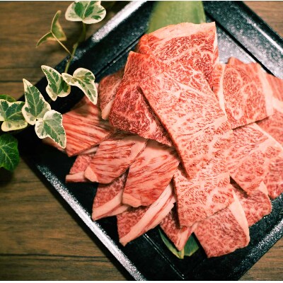 福岡県産 黒毛和牛 博多和牛 焼肉用切り落とし 500g