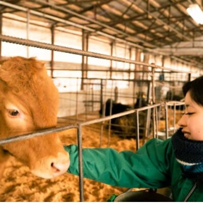 福岡県産 黒毛和牛 博多和牛 焼肉用切り落とし 500g