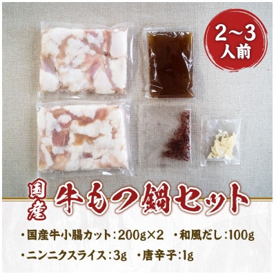 国産牛もつ鍋セット 2-3人前(宇美町)