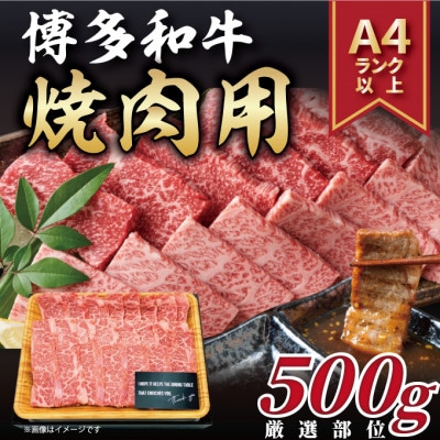 【A4～A5】博多和牛焼肉用　500g(宇美町)