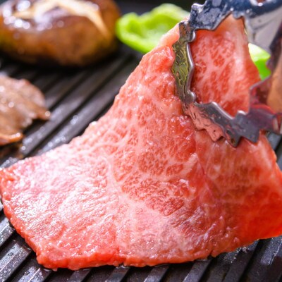 【A4～A5】博多和牛赤身モモ焼肉用　500g(宇美町)
