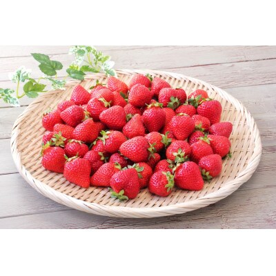 博多あまおう250g×4パック(宇美町)