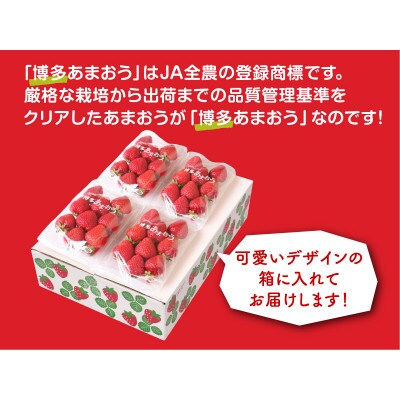 博多あまおう250g×4パック(宇美町)