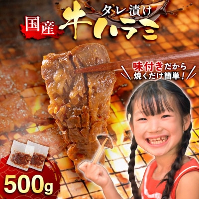国産 特製たれ漬 牛ハラミサガリ 250g×2パック