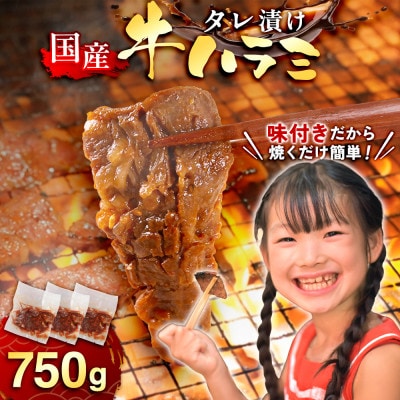 国産 特製たれ漬 牛ハラミサガリ 250g×3パック