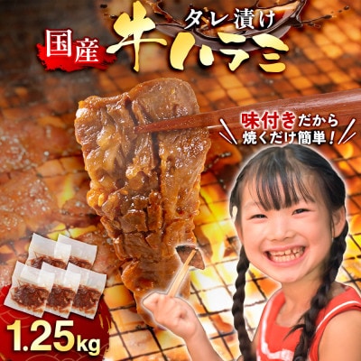 国産 特製たれ漬 牛ハラミサガリ 250g×5パック