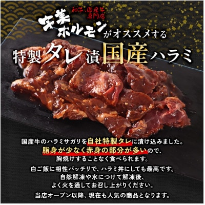国産 特製たれ漬 牛ハラミサガリ 250g×5パック