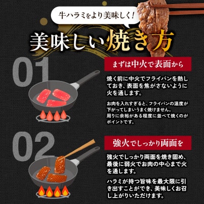 国産 特製たれ漬 牛ハラミサガリ 250g×5パック