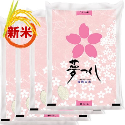 福岡県産ブランド米「夢つくし」白米 計20kg(宇美町) | 福岡県