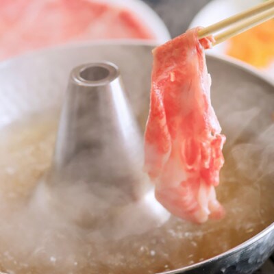 【博多和牛】特選しゃぶしゃぶ用(400g)(宇美町)