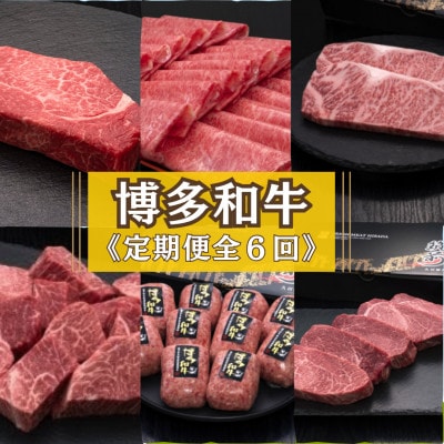 【毎月定期便】【博多和牛】博多和牛ヒレからロースまで!人気部位を味わう豪華定期便(宇美町)全6回