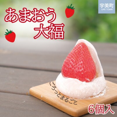 おまおう大福　6個入り(宇美町)