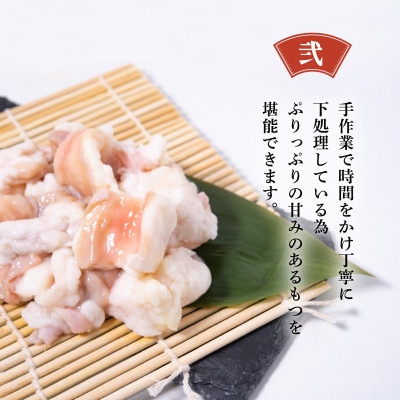 【予約の取れない老舗人気店】博多もつ鍋2～3人前セット　博多もつ鍋太閤(宇美町)　オリジナル醤油