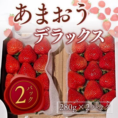 【2025年2月より順次発送】あまおうデラックス(約280g×2パック)(宇美町)