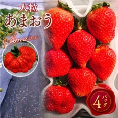 【2024年2月より順次発送】厳選大粒あまおう(約280g&times;4パック)(宇美町)