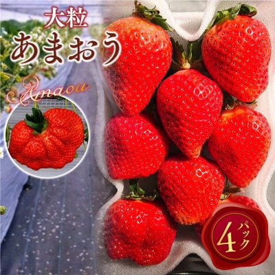 【2025年2月より順次発送】厳選大粒あまおう(約250-270g×4パック)(宇美町)