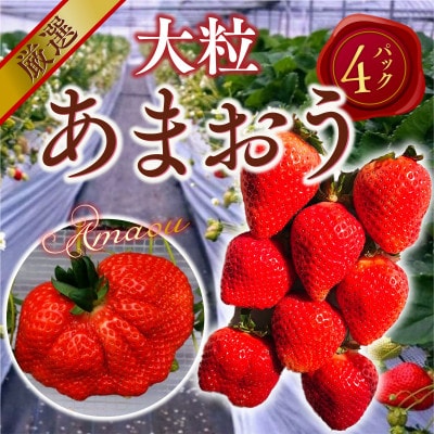 【2025年2月より順次発送】厳選大粒あまおう(約250-270g×4パック)(宇美町)