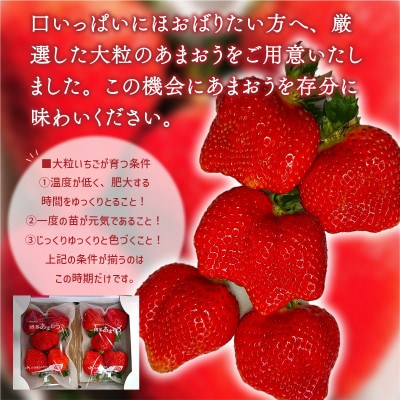 【2025年2月より順次発送】厳選大粒あまおう(約250-270g×4パック)(宇美町)