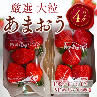【2025年2月より順次発送】厳選大粒あまおう(約250-270g×4パック)(宇美町)