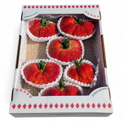 選ばれし一粒・特撰プレミアムあまおう 約600g(宇美町)