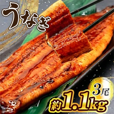 うなぎ 約1.1kg!茶葉蒸し有頭鰻かば焼 3尾