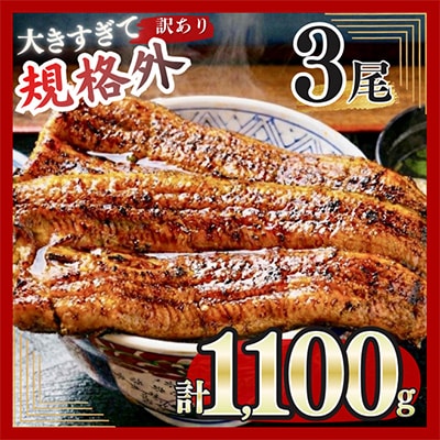 訳あり うなぎ蒲焼 3尾 規格外 計1,100g