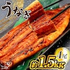うなぎ 約1.5kg!茶葉蒸し有頭鰻かば焼 4尾