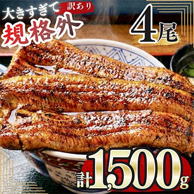 うなぎ 約1.5kg!茶葉蒸し有頭鰻かば焼 4尾
