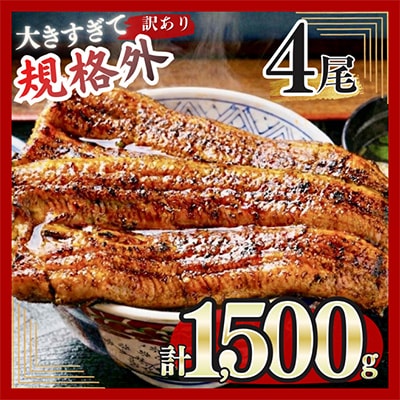 訳あり うなぎ蒲焼 4尾 規格外 計1,500g