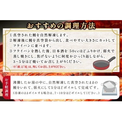 うなぎ 約1.5kg!茶葉蒸し有頭鰻かば焼 4尾