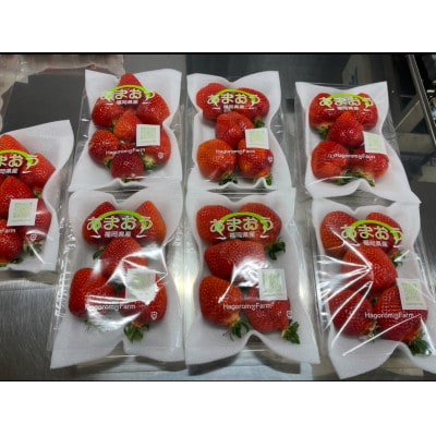 ふくおかエコ農産物認証いちご 福岡県産あまおう苺 約250g×2P(1月中旬から2月下旬発送)宇美町