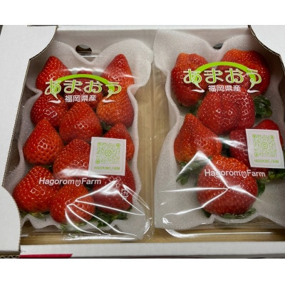ふくおかエコ農産物認証いちご 福岡県産あまおう苺 約250g×2P(3月から4月中旬発送)宇美町