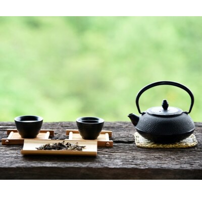 八女茶【特上】煎茶セット 100g×2袋(宇美町)