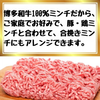 博多和牛100%ミンチ(挽肉)【訳あり】600g(300g×2個)(宇美町)