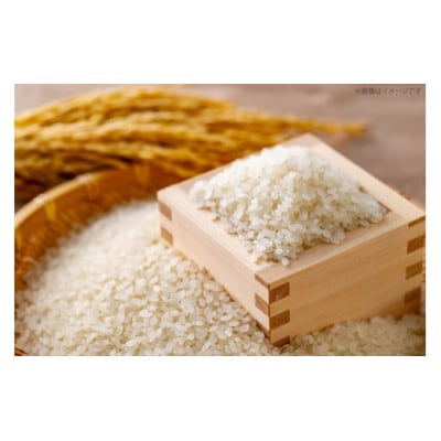 【令和7年産】福岡県産夢つくし 5kg 精米(宇美町)