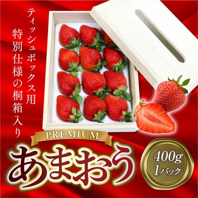 【先行受付】ティッシュボックス用特別仕様の桐箱入りプレミアムあまおうEX400g×1パック(宇美町)