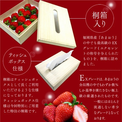 【先行受付】ティッシュボックス用特別仕様の桐箱入りプレミアムあまおうEX400g×1パック(宇美町)