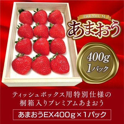 【先行受付】ティッシュボックス用特別仕様の桐箱入りプレミアムあまおうEX400g×1パック(宇美町)