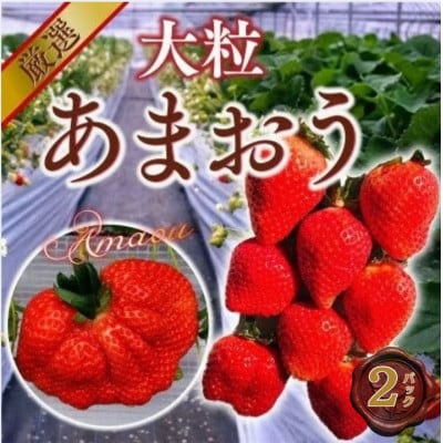 【2027年2月より順次発送】大粒あまおう 2パック (宇美町)