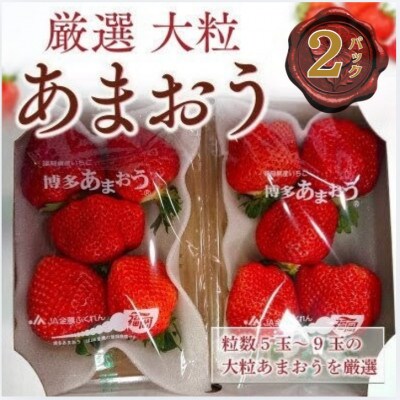 【2027年2月より順次発送】大粒あまおう 2パック (宇美町)