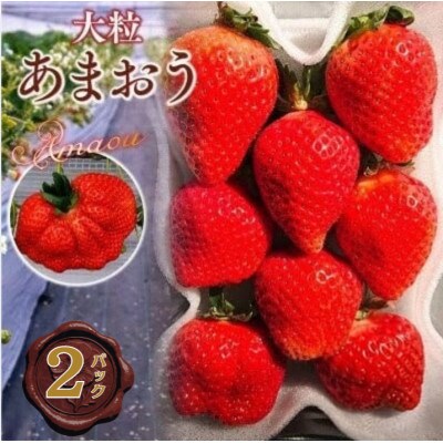 【2027年2月より順次発送】大粒あまおう 2パック (宇美町)