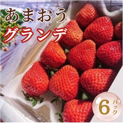 【2027年2月より順次発送】あまおう6パックセット (約250-270g×6パック)(宇美町)