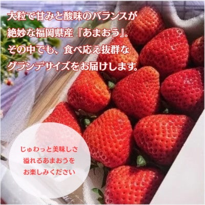 【2027年2月より順次発送】あまおう6パックセット (約250-270g×6パック)(宇美町)